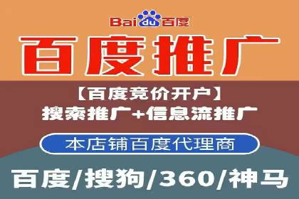 网络推广竞价策略解析与应用案例